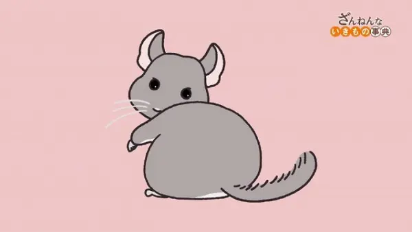 Боевой мастер