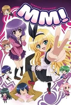 Боевой мастер