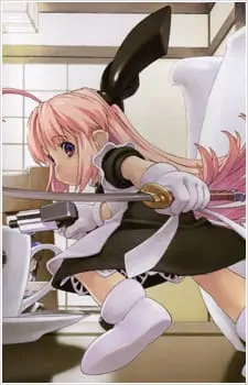 Боевой мастер